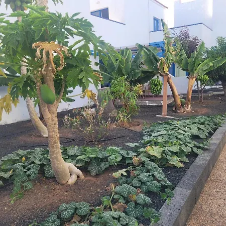 Apartamento Nenita